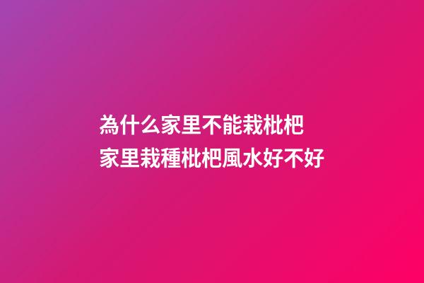 為什么家里不能栽枇杷 家里栽種枇杷風水好不好